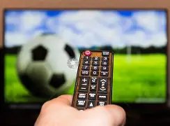 高准翼胜任,中卫,避免伊万独,亚博体育,亚博体育官网,亚博体育app,亚博体育下载